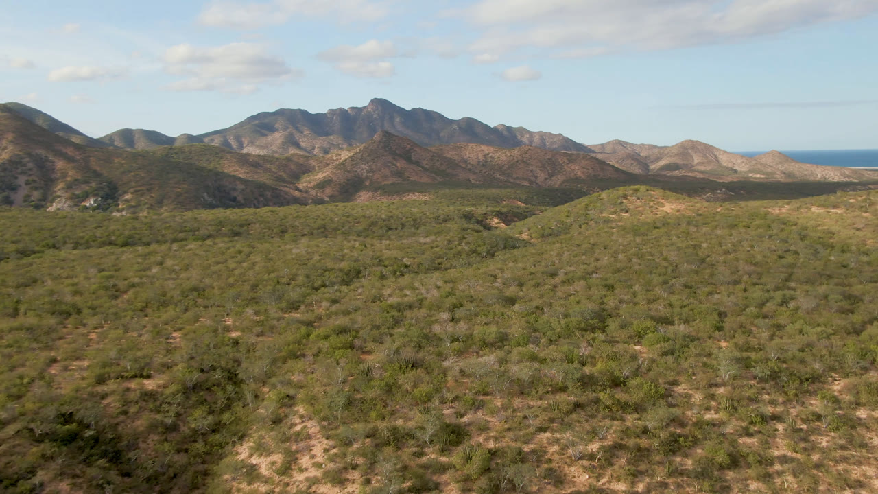 Desert vegetation leading to mountains with ocean visible at right.
