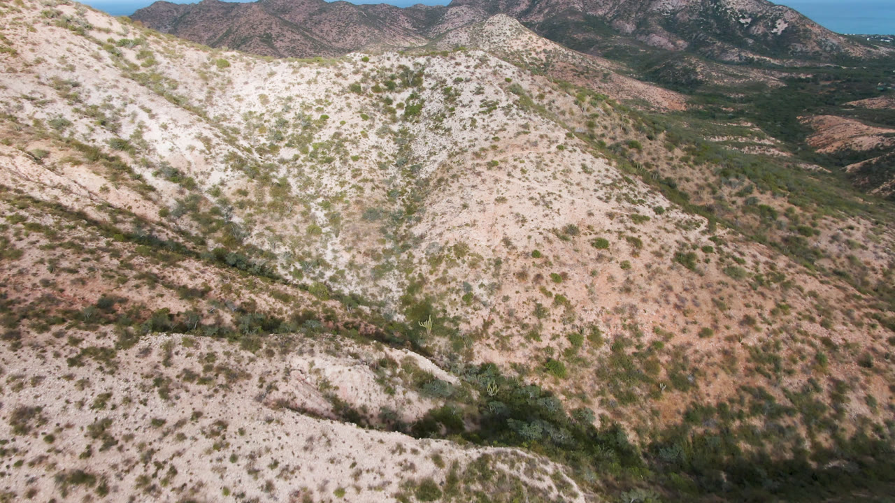 Sunlit desert hills with pale rock, brush, and distant mountain backdrop.