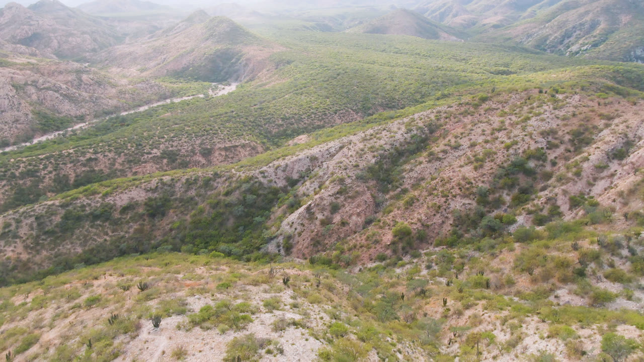 Aerial view over pale rocky hills and scattered green shrubs in Cabo Pulmo, Baja California Sur, with hazy mountains beyond and no visible people.