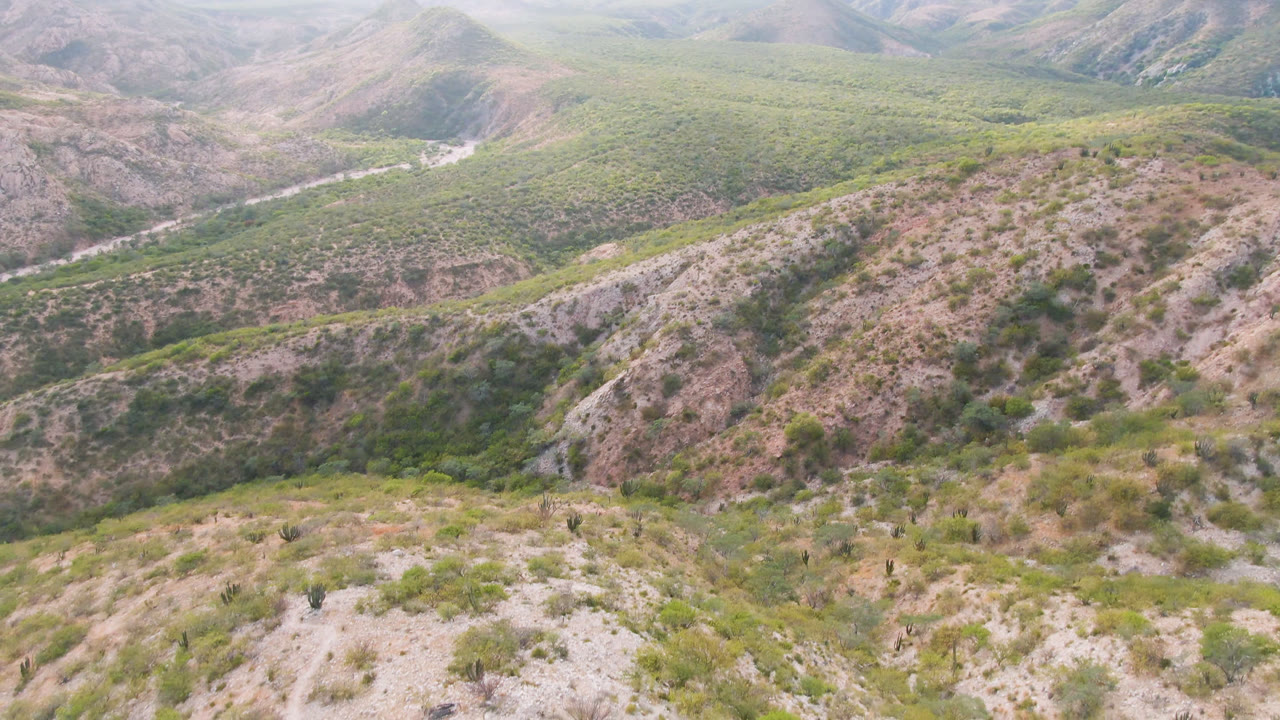 Elevated view across scrub-covered desert ridges in Cabo Pulmo, Baja California Sur, with a pale distant track or wash cutting through the valley and no visible people.