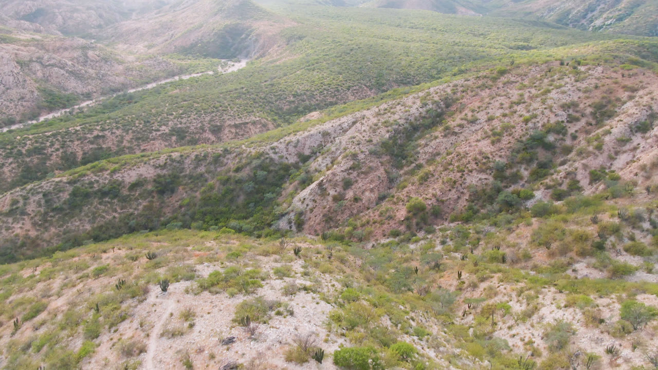 Rocky arid slopes with patchy green vegetation under bright daylight