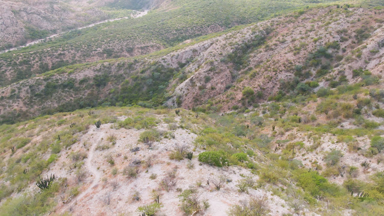 Opening frame of a rocky Cabo Pulmo hillside with scattered shrubs, cacti, layered mountain slopes, and no visible people.