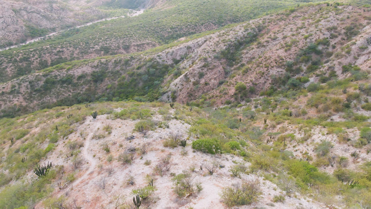 Second frame showing the Cabo Pulmo mountain slope from an elevated angle, with cactus clusters, low shrubs, pale rock, and no visible people.