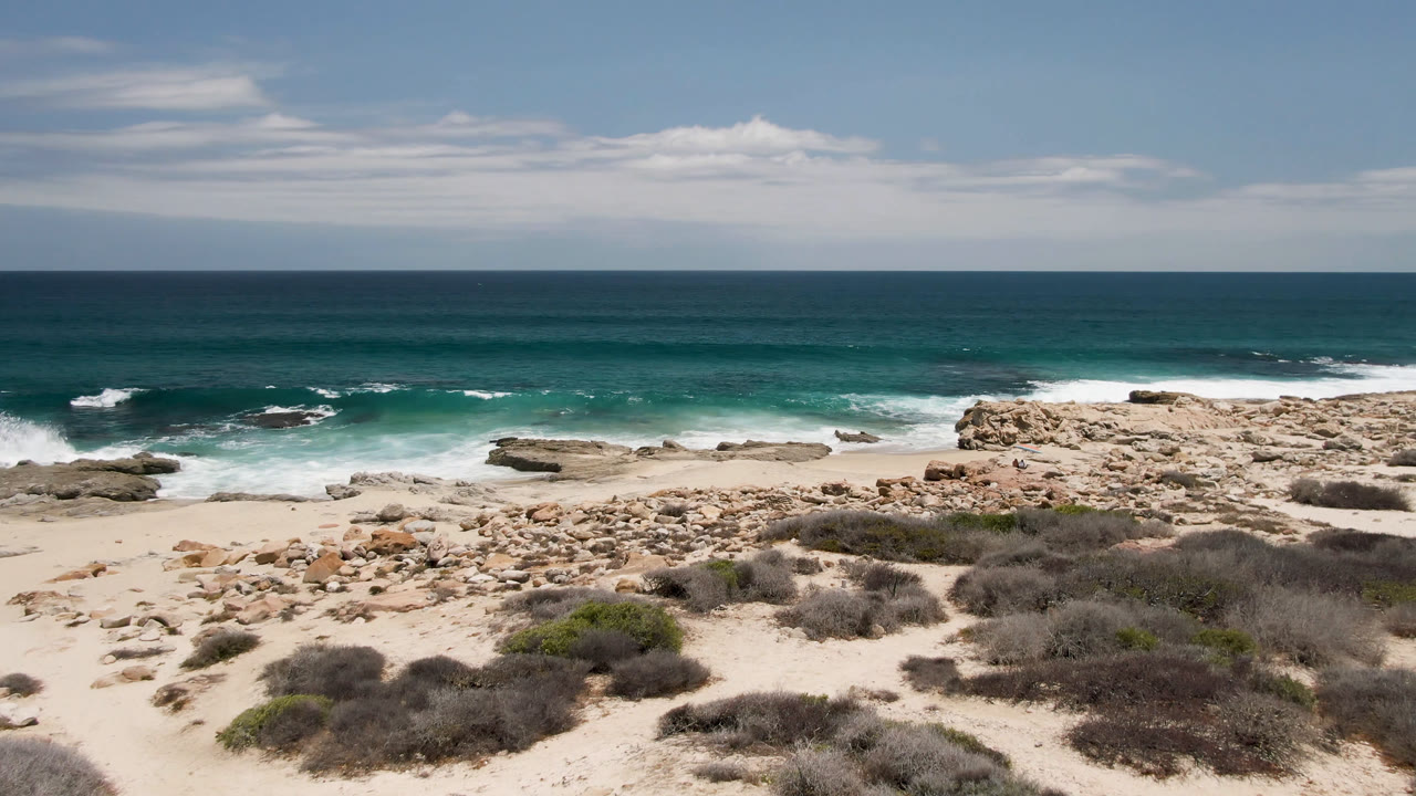 Wide rocky beach with ocean waves and low coastal scrub