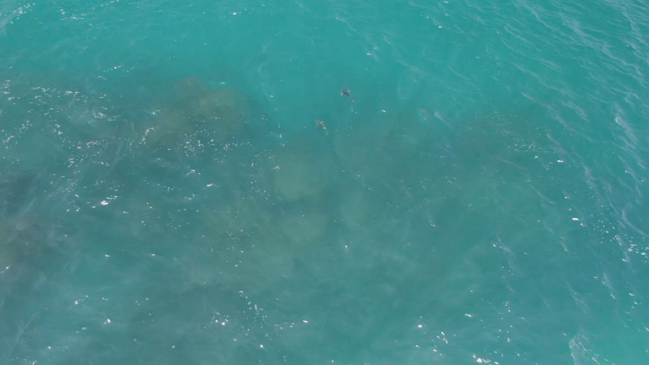 Aerial frame over Laguna Beach turquoise water, showing broader dark submerged patches, light surface ripples, and no recognizable people.