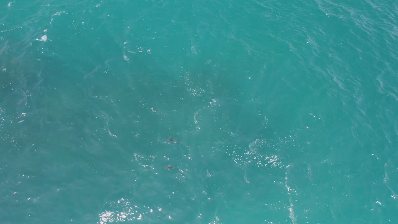 Top-down view of turquoise ocean water at Laguna Beach, Baja California Sur, with scattered bright wave highlights and no visible people.