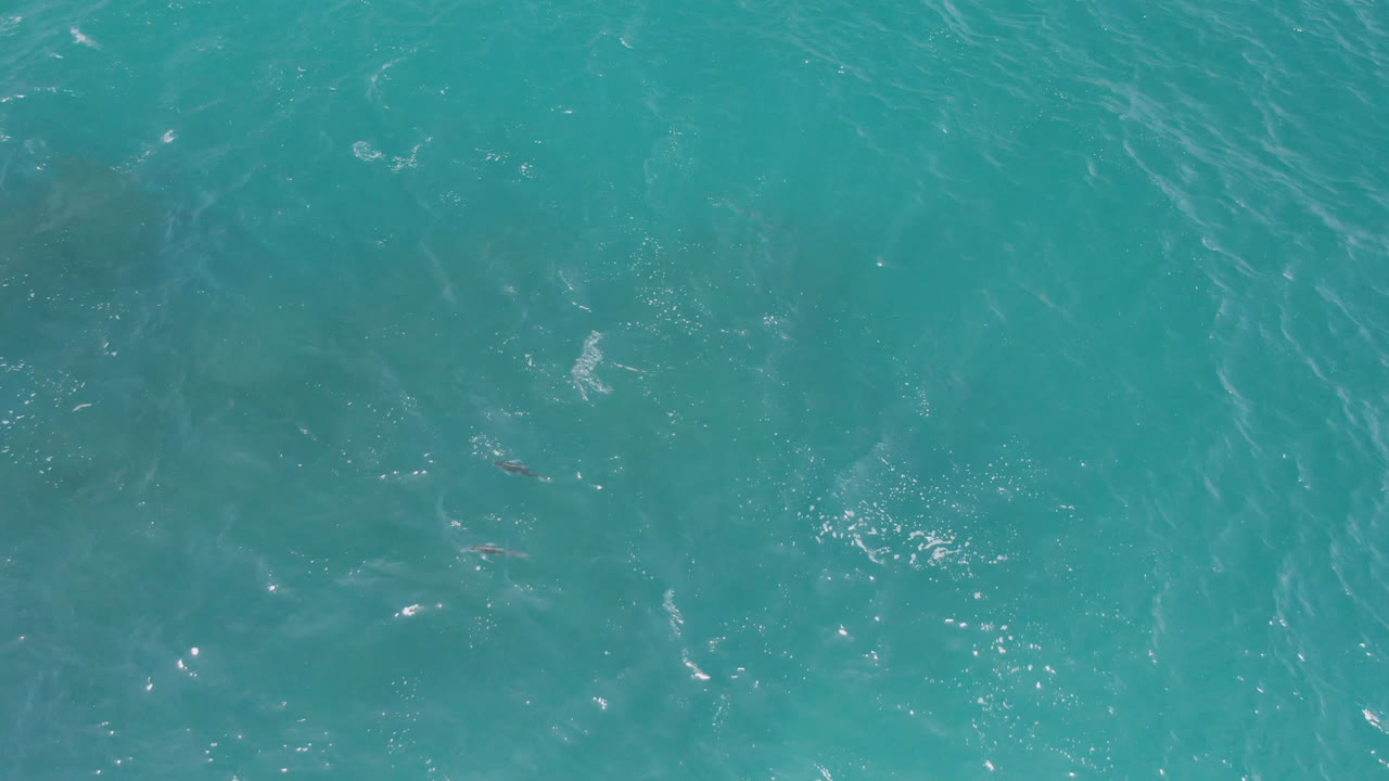 Blue-green ocean surface fills the frame at Laguna Beach, Baja California Sur, with softer ripples and no shoreline or visible people.