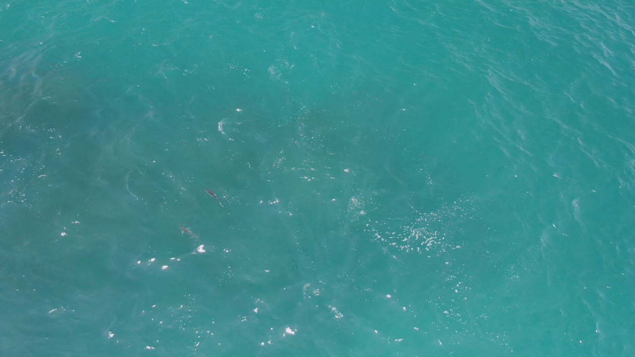 Overhead ocean water with darker patches below