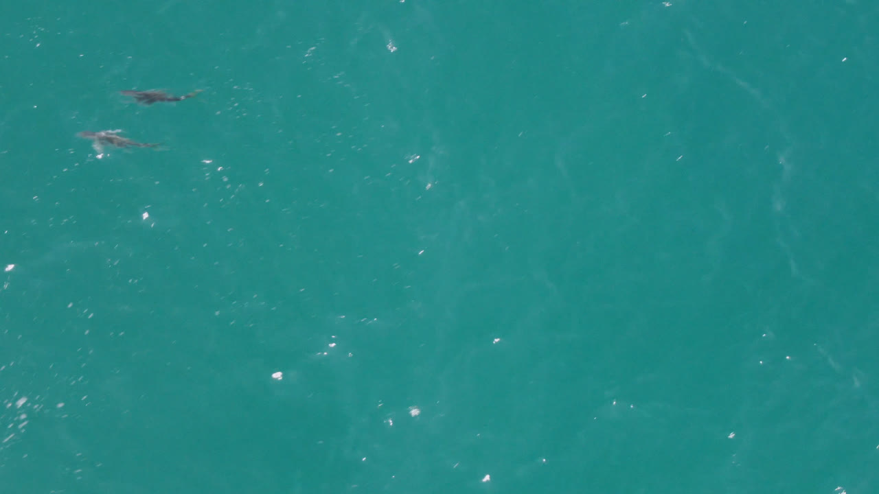 Wide overhead ocean view with faint dolphin shapes in turquoise water.
