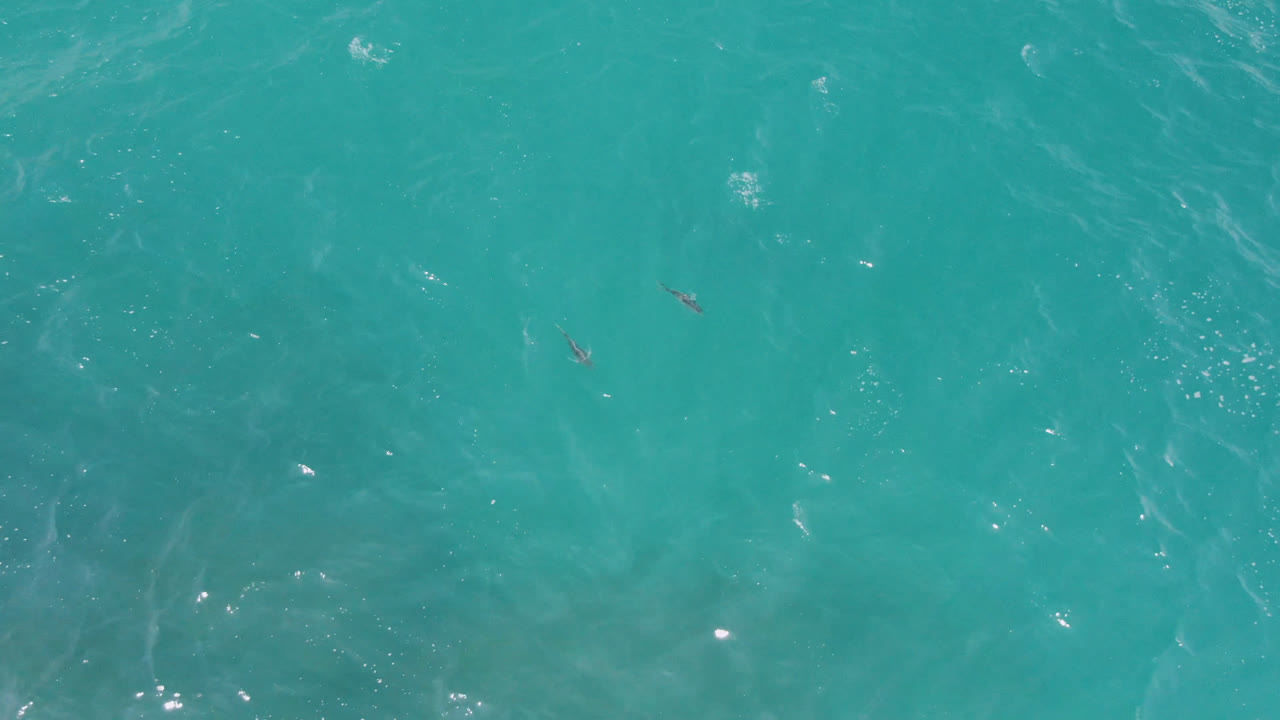 Turquoise ocean surface from above with small dark figures in the water.
