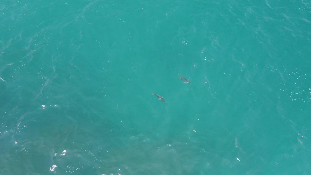 Overhead Laguna Beach water frame with small dark swimmer or board-like shapes near the middle, pale wave streaks, and scattered highlights on the turquoise surface.