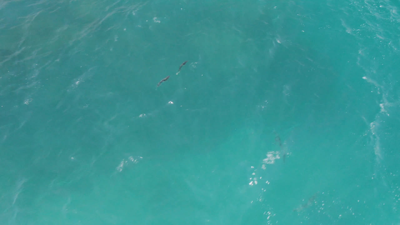 Turquoise ocean surface with tiny dark water-recreation shapes near the top of frame.