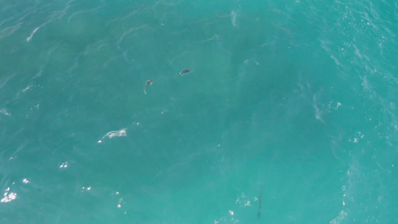 Aerial frame over clear teal water at Laguna Beach, Baja California Sur, Mexico, with a small dark board or swimmer shape near the upper middle and soft white ripples below it.