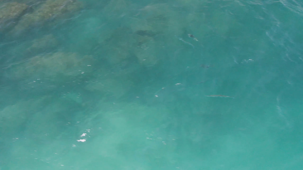 Overhead view of turquoise water at Laguna Beach, Baja California Sur, with pale submerged rock shapes near the top of frame, small fish below the surface, and no visible people.