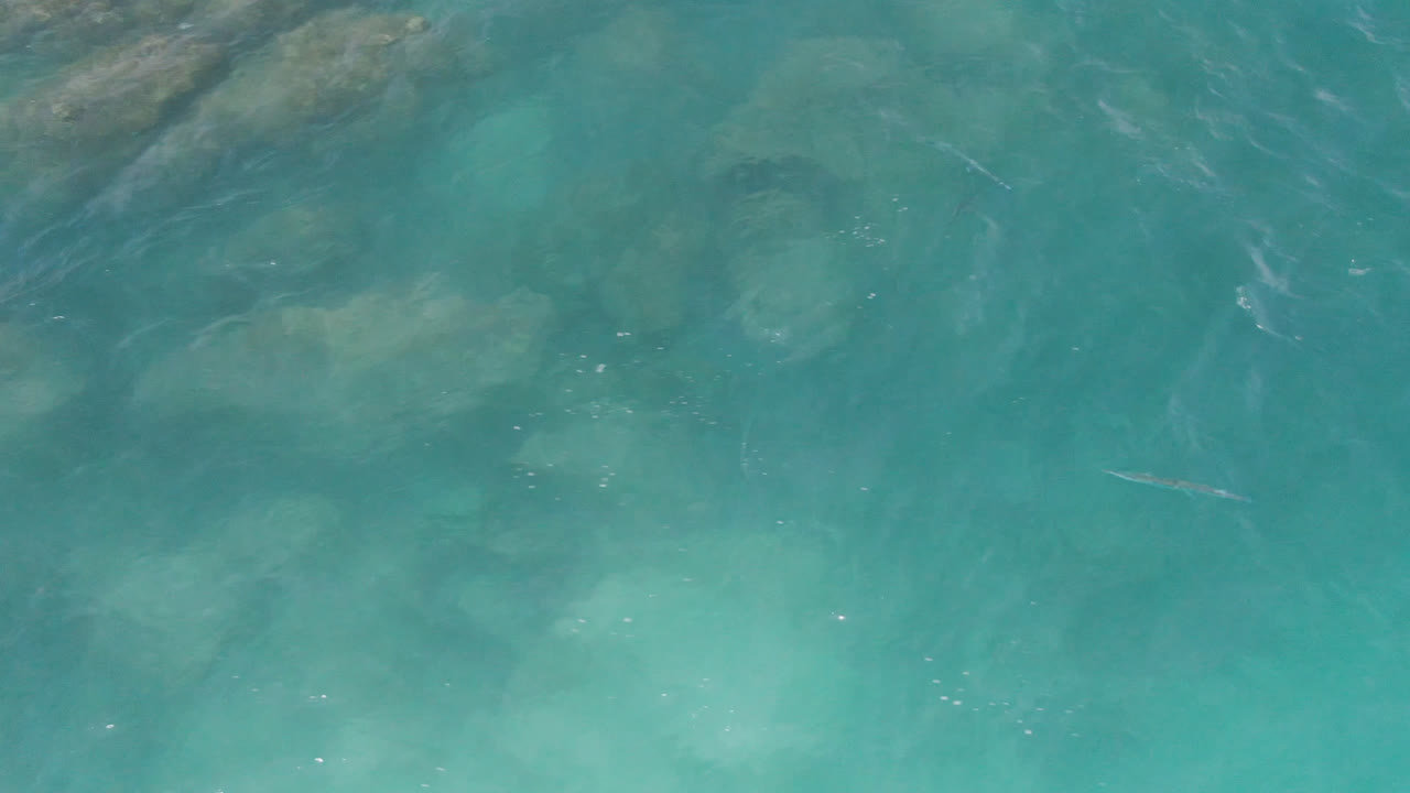 Overhead Laguna Beach, Baja California Sur water frame with blue-green color, faint fish shapes crossing the middle area, submerged rocks near the upper edge, and no visible people.