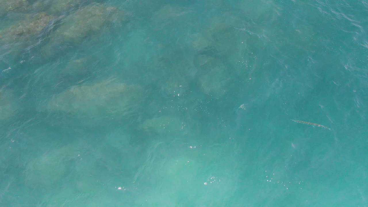 Aerial water texture with fish, ripples, and submerged rocks.