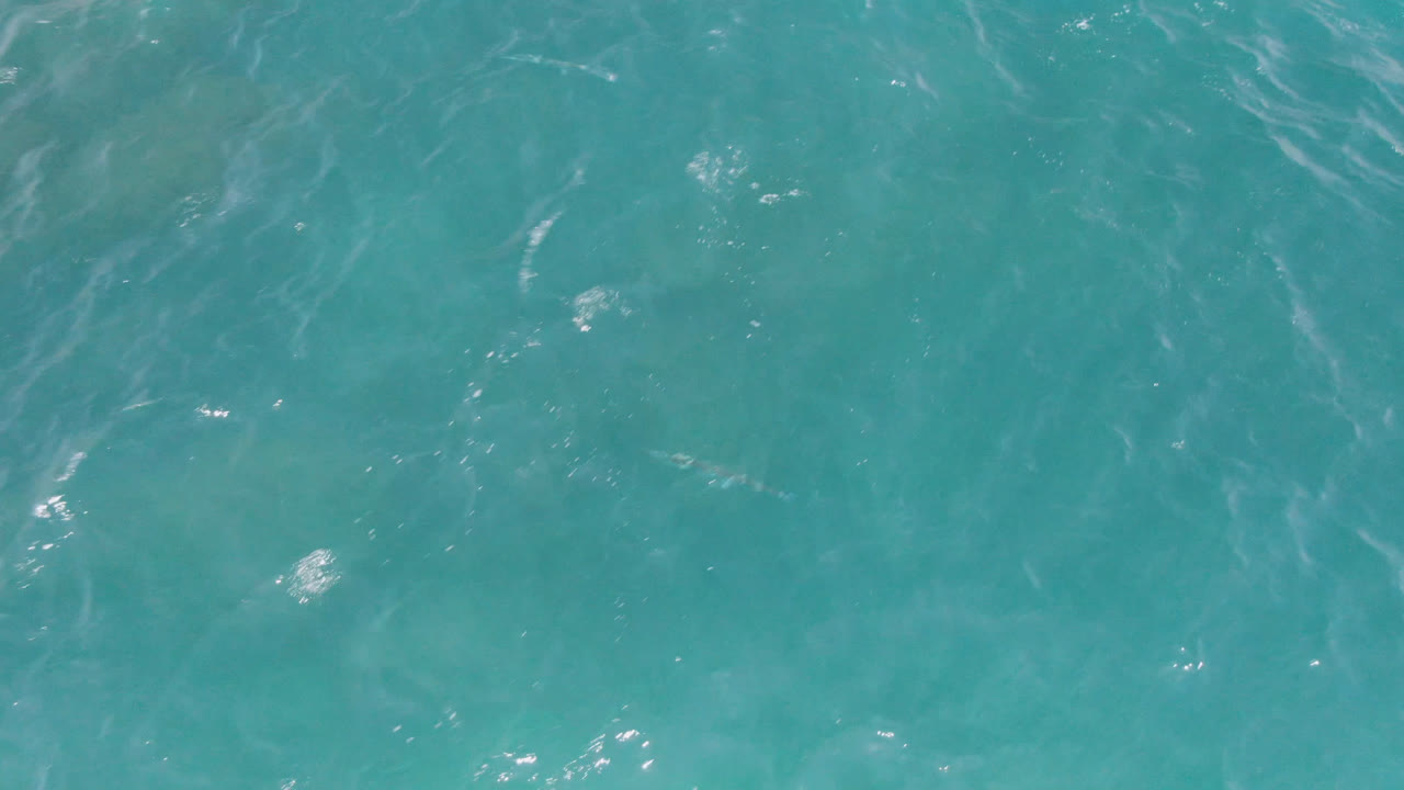 Overhead view of turquoise ocean water at Laguna Beach, Baja California Sur, with scattered surface ripples and no discernible people in this frame.