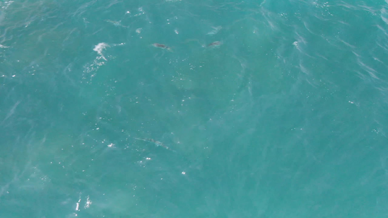 Turquoise water at Laguna Beach, Baja California Sur, fills the frame with brighter flecks of reflected light and no discernible people.