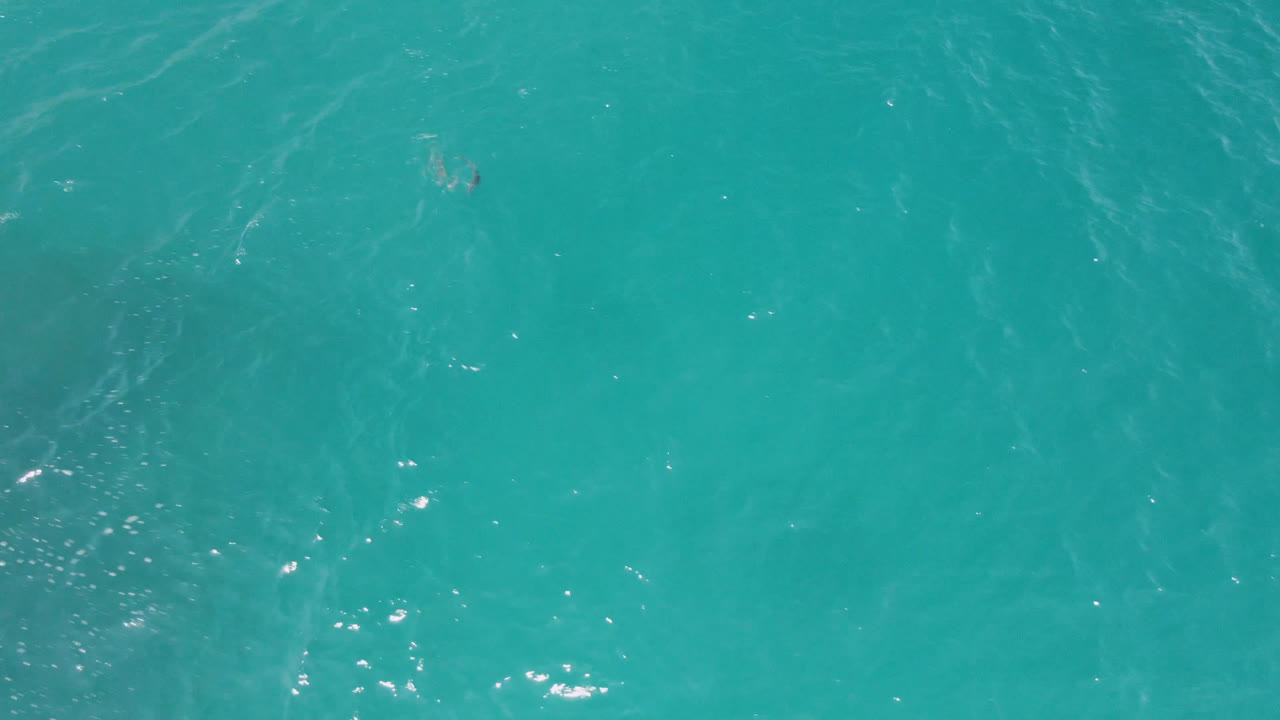 Overhead view of turquoise ocean at Laguna Beach, Baja California Sur, with faint dark marine shapes near the surface and no visible people.