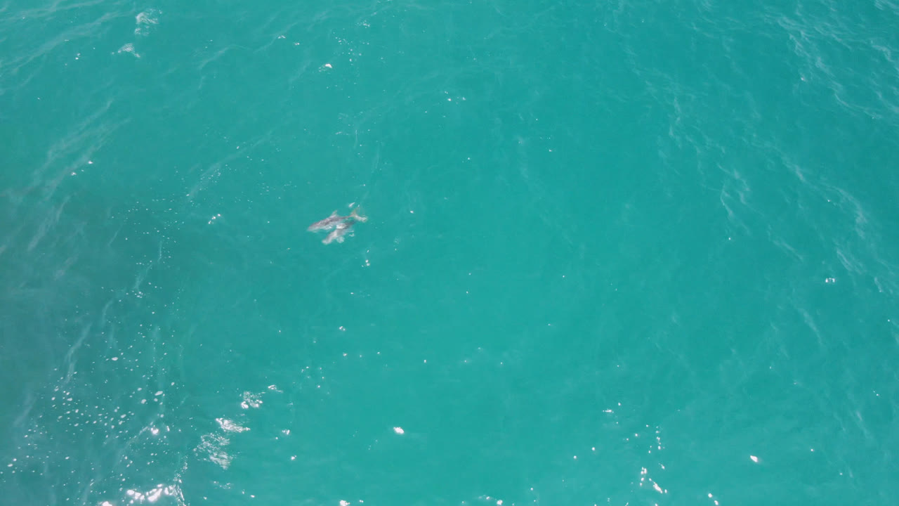 Aerial frame over Laguna Beach, Baja California Sur water, showing bright glints, rippled teal water, and a small pale surface disturbance with no visible people.