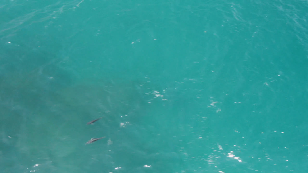 Overhead view of turquoise water at Laguna Beach, Baja California Sur, with small dark surfer or surfboard shapes near the upper left and no shoreline visible.