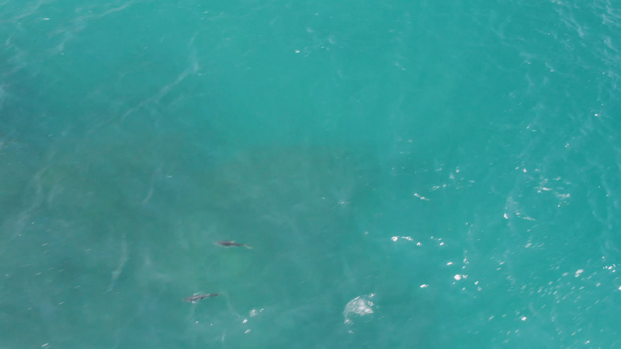 Aerial frame over clear turquoise water in Laguna Beach, Baja California Sur, with faint white ripples and small dark shapes spaced across the upper water surface.
