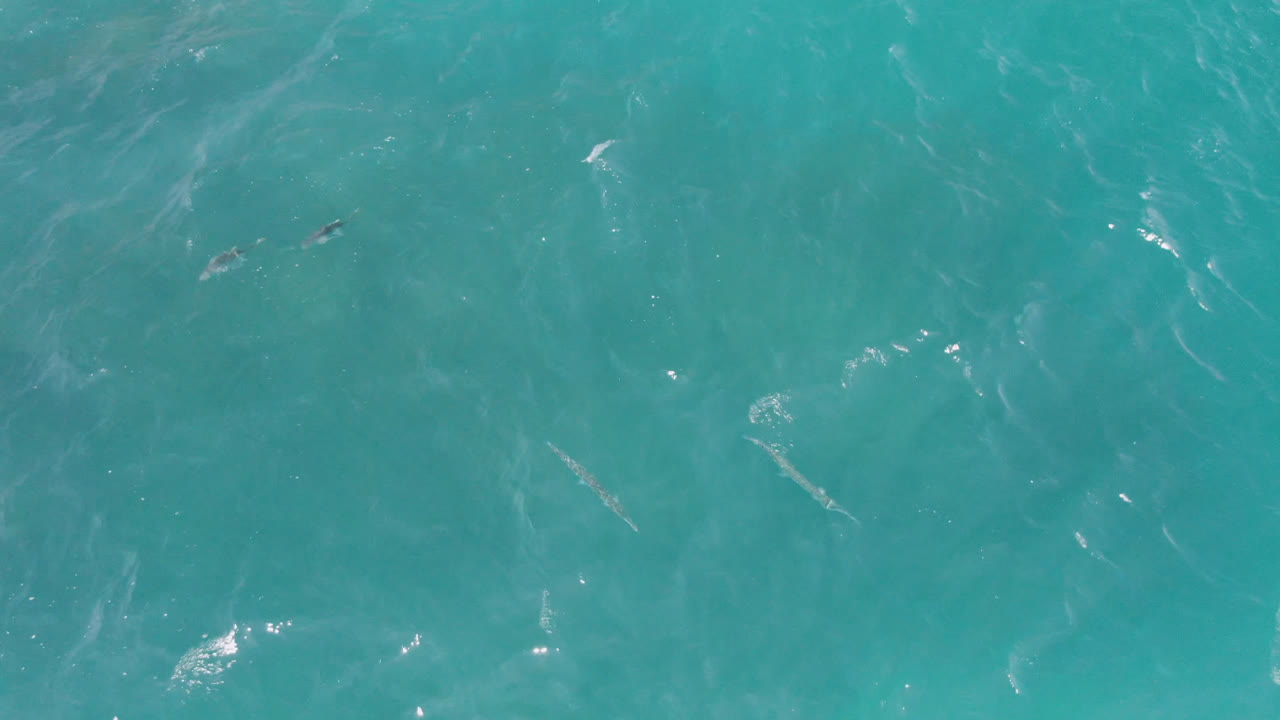 Overhead view of turquoise ocean water at Laguna Beach, Baja California Sur, with faint darker patches below the surface and no visible people.
