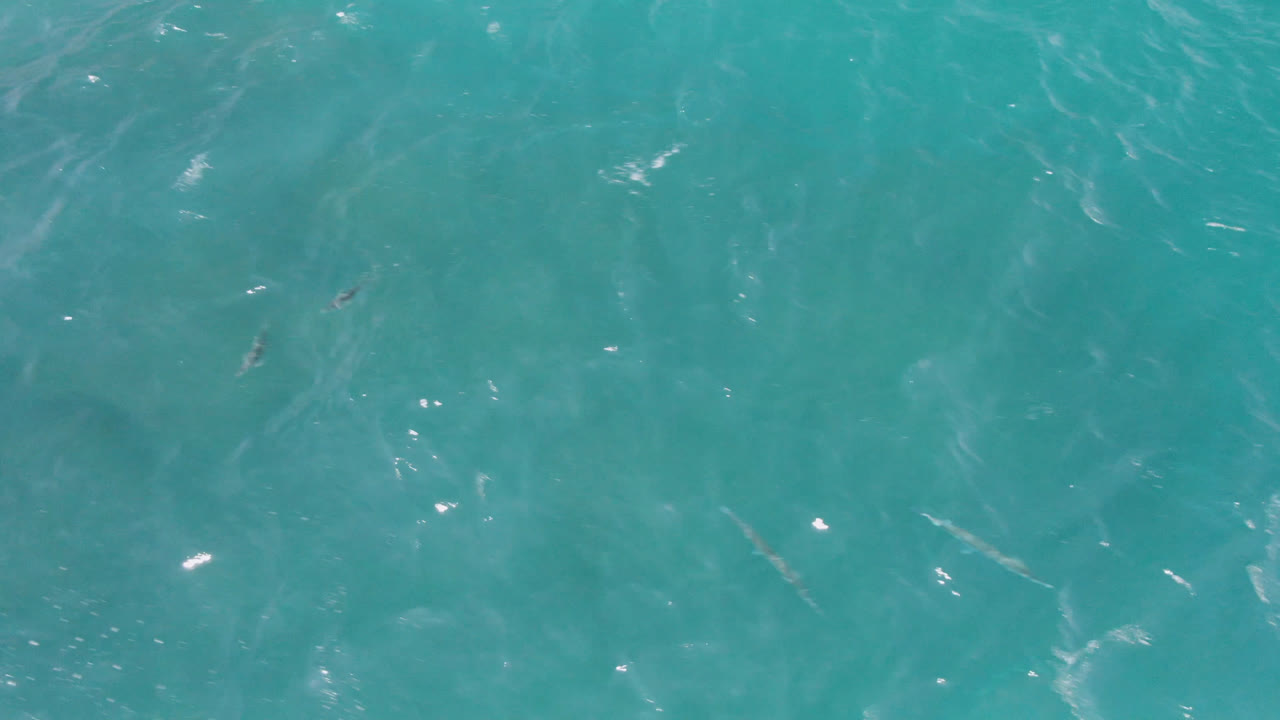 Straight-down aerial frame over Laguna Beach, Baja California Sur water, where white highlights scatter across blue-green ripples with no visible people.