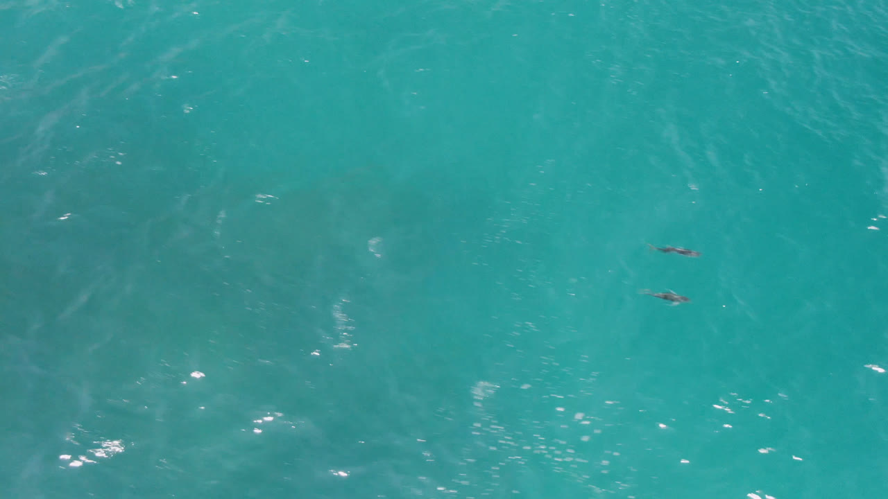 Aerial frame over Laguna Beach water with faint wave texture and two tiny dark subjects near the upper left area.