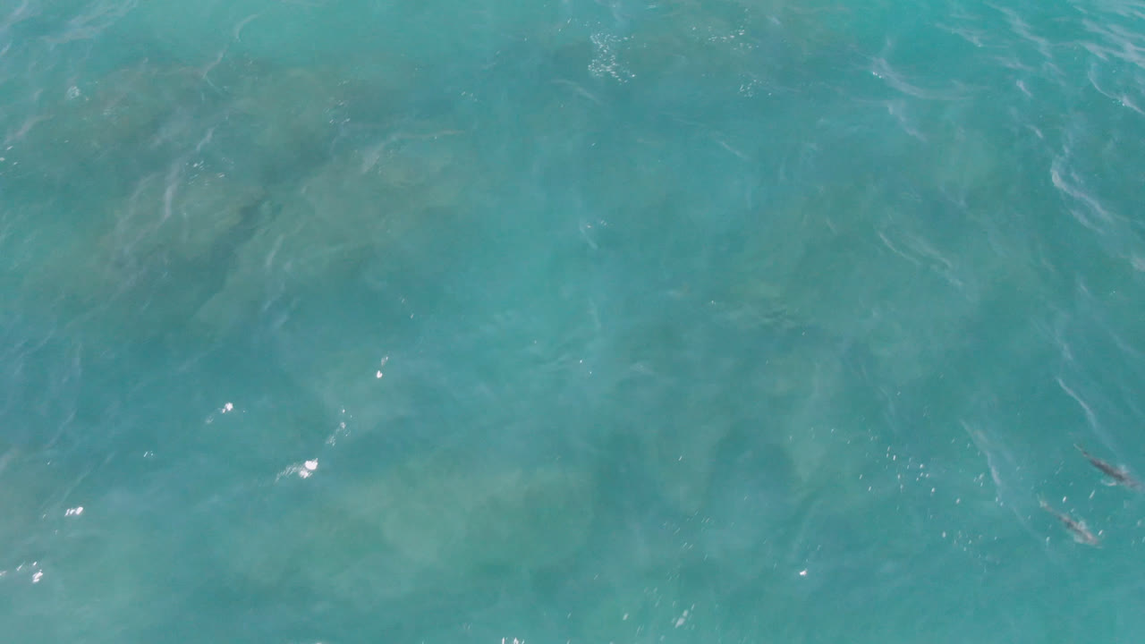 Top-down view of turquoise water at Laguna Beach, Baja California Sur, Mexico, with faint dolphin shapes under the surface and no visible people.
