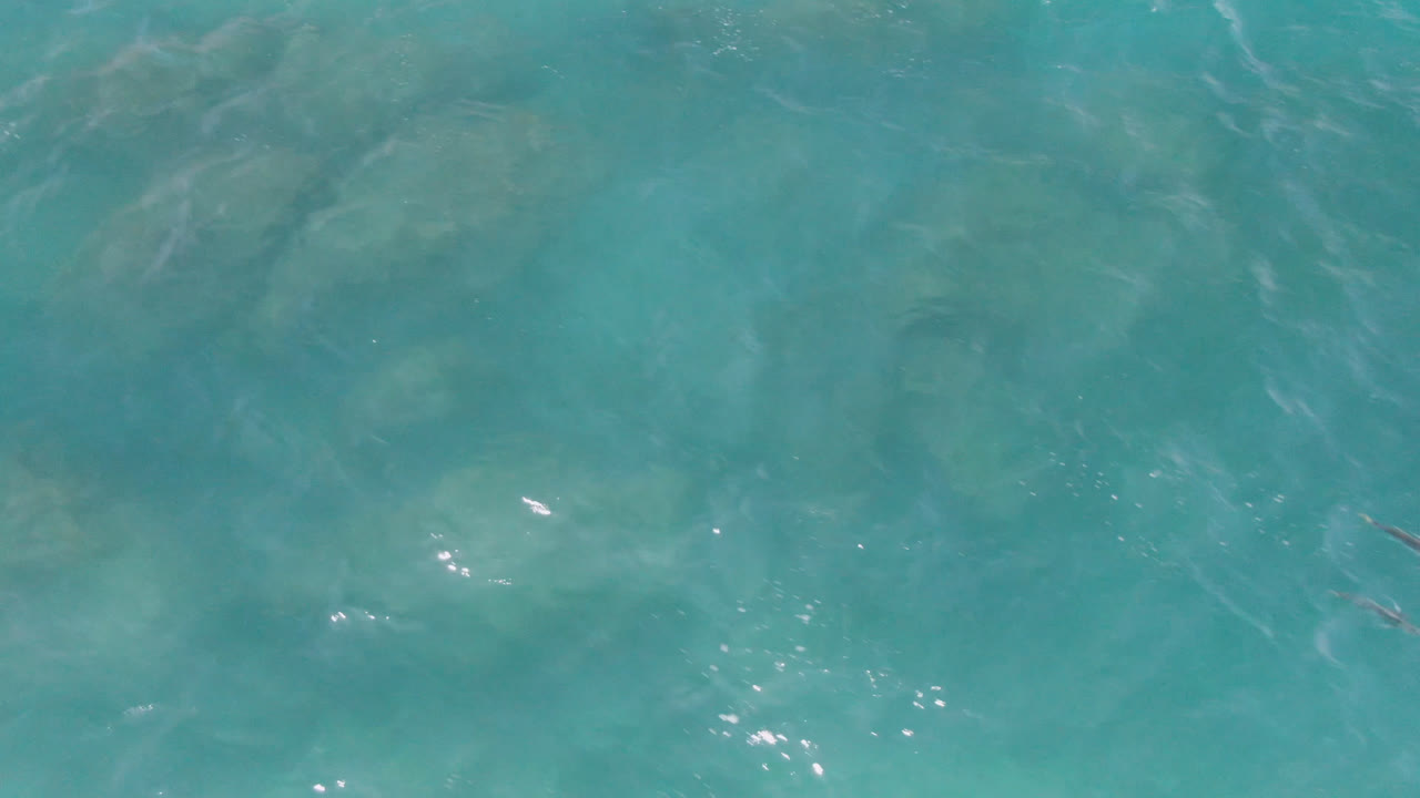 Two dolphins appear more clearly under the rippled turquoise surface at Laguna Beach, Baja California Sur, Mexico, with no visible people.