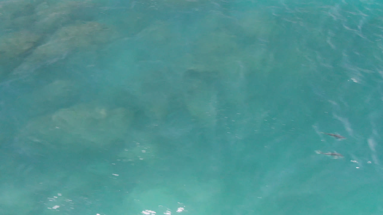 Dolphins near the upper right in clear turquoise water