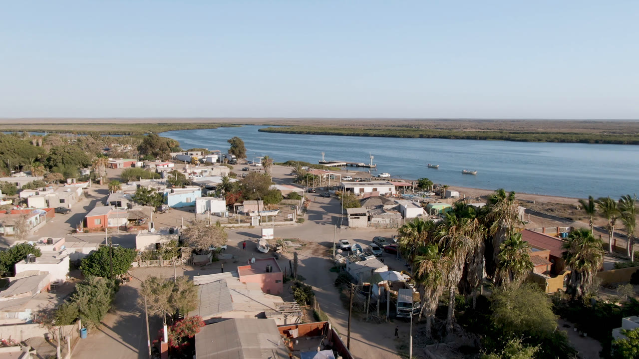Aerial frame of Aldofo Lopez Mateos showing the central street grid, palms clustered near the foreground, parked vehicles, blue river water, low far shore, and no visible people.