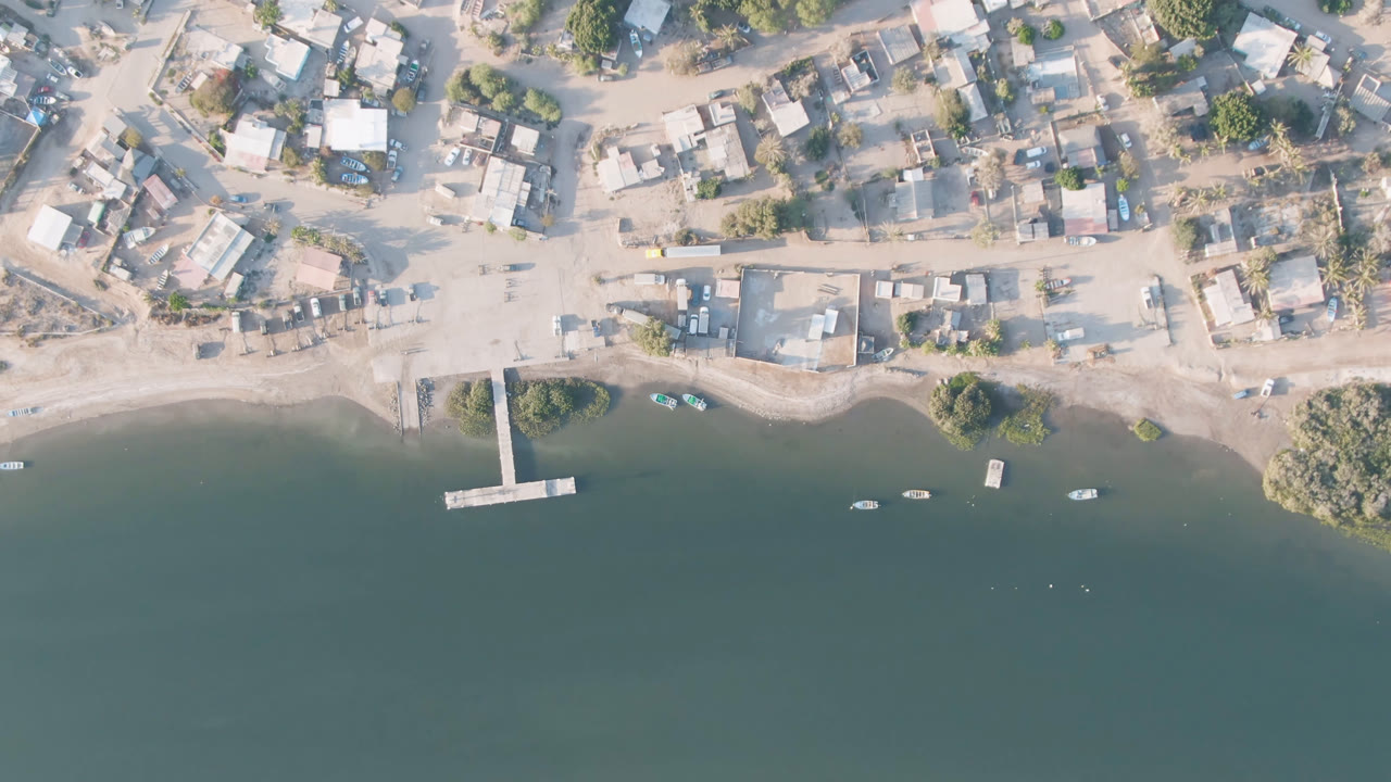 Top-down town edge with road, dock, boats, trees, and water.