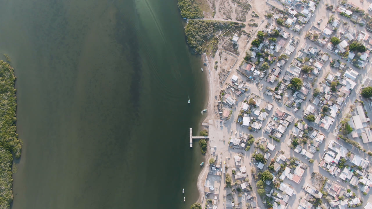 Top-down aerial frame over Aldofo Lopez Mateos, Baja California Sur, with green water on the left, a sandy shoreline, clustered low buildings, roads, trees, small boats, and no visible people.