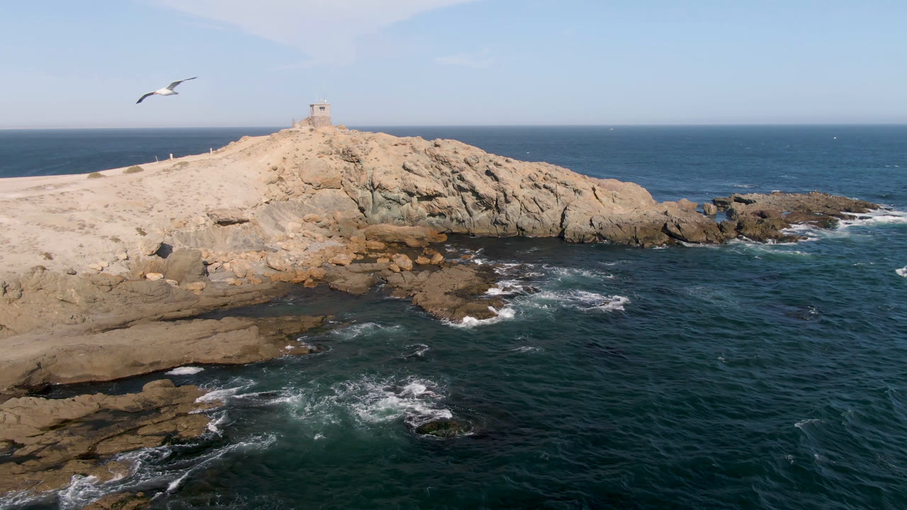Aerial Bahia Ascuncion frame with the bird larger near the top center, pale cliff rock below, dark blue-green water in front, surf breaking on stone ledges, and no visible people.