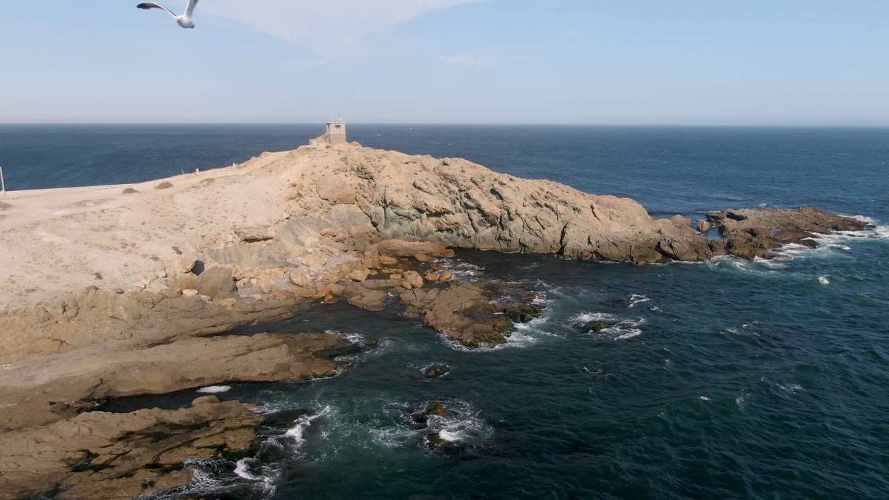 A seabird flies near the top of an aerial view over a rocky headland and dark turquoise water in Bahia Ascuncion, Baja California Sur, with no visible people.