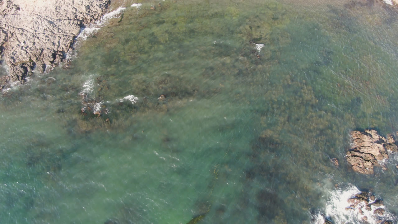 Overhead frame of Bahia Ascuncion water meeting a rocky shoreline and pale sand, with submerged dark patches and no visible people.