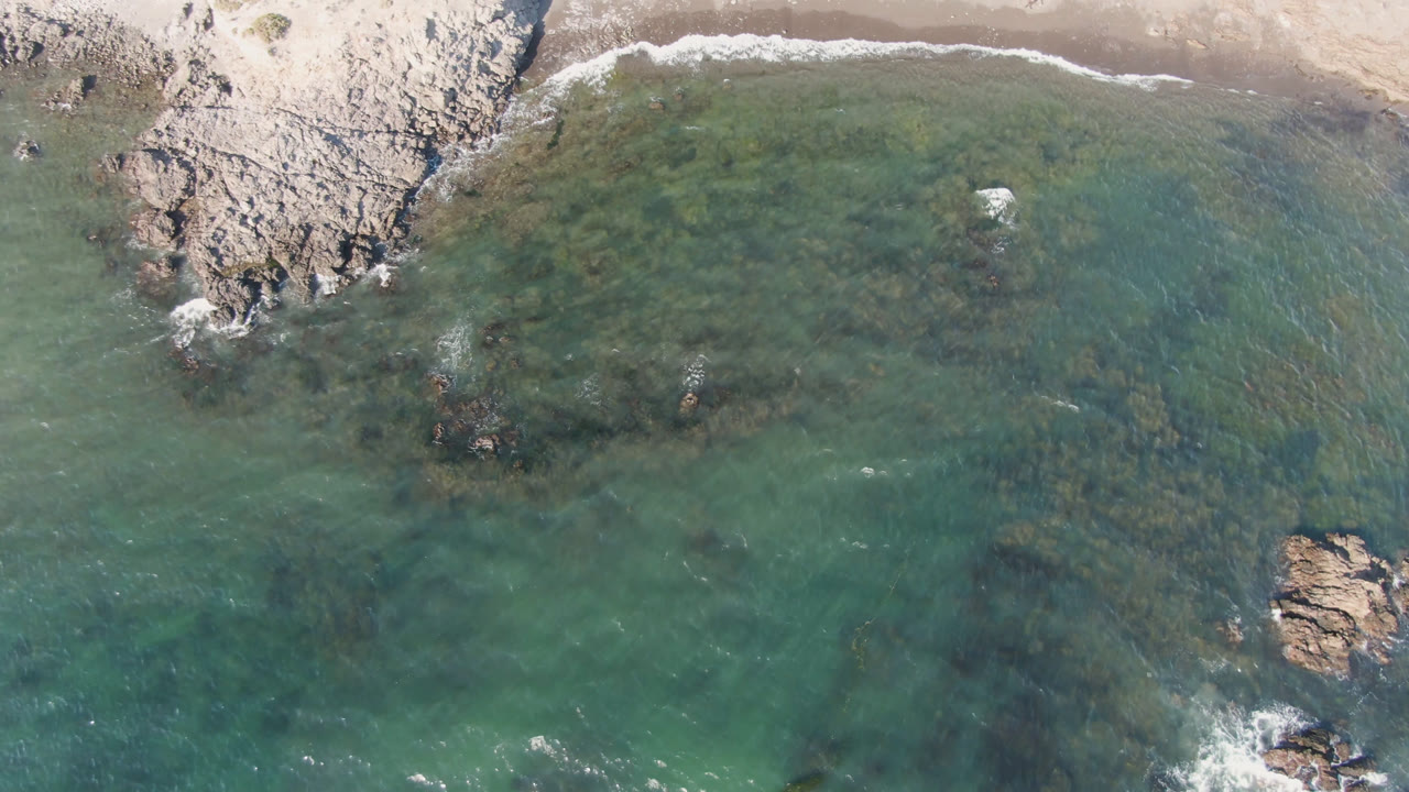 Top-down coast with beach, rocks, and clear water