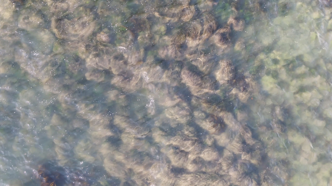 Rocky shallows seen through rippled blue-green water