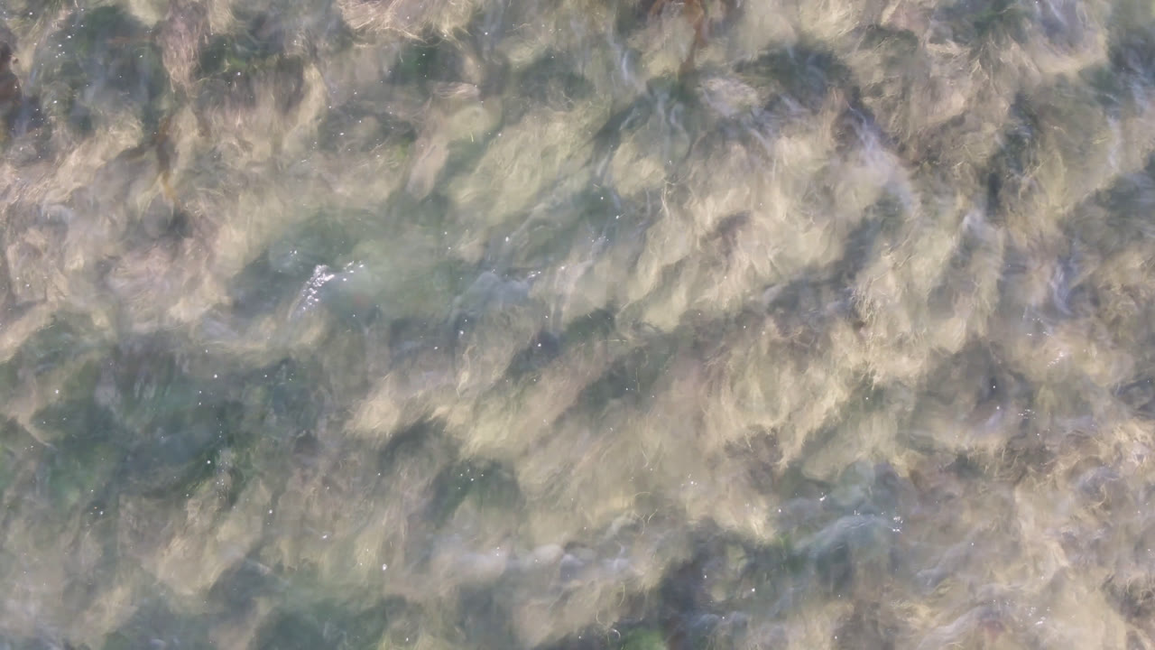 Overhead view of shallow water in Bahia Ascuncion with tan underwater vegetation patterns, green-blue patches, small highlights, and no visible people.