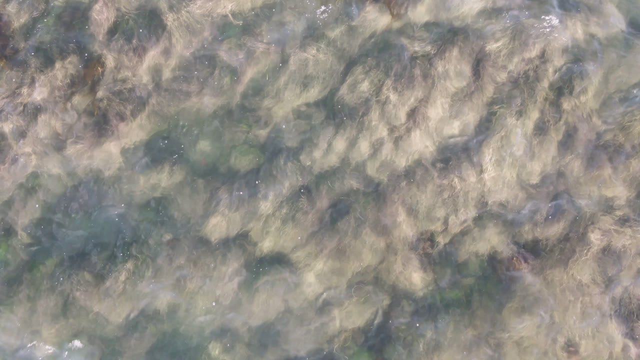 A close overhead frame from Bahia Ascuncion shows green-blue water broken by pale tan seaweed-like shapes and scattered bright ripple points, with no visible people.