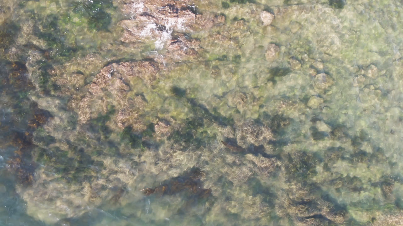 Top-down aerial frame from Bahia Ascuncion showing pale green shallow water, submerged rocks, dark seaweed patches, and no visible people.