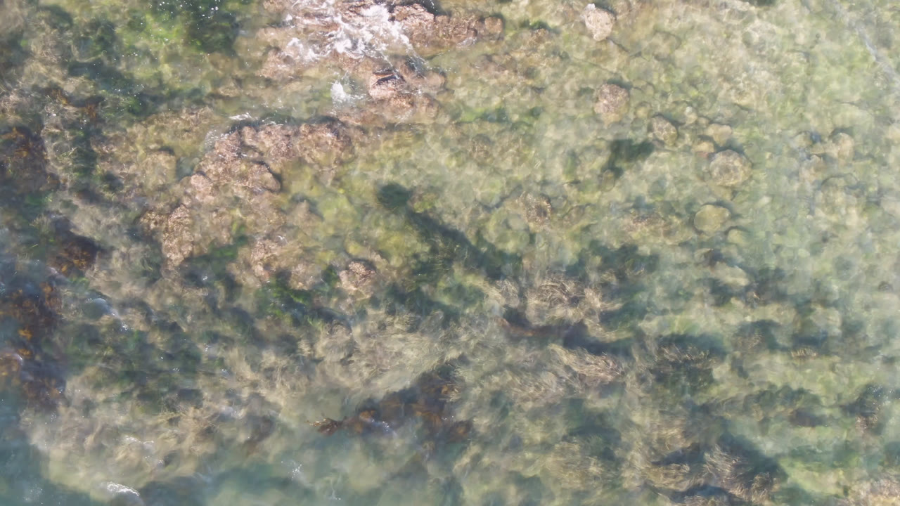 Aerial view over Bahia Ascuncion shallows with mottled rocks, darker seaweed streaks, soft surface glare, and no visible people.