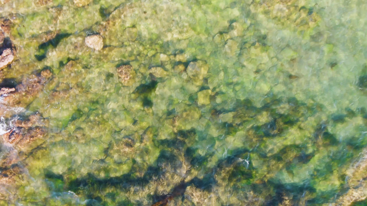 Aerial frame over Bahia Ascuncion shallows, showing algae-covered rocks, darker underwater patches, and no visible people.