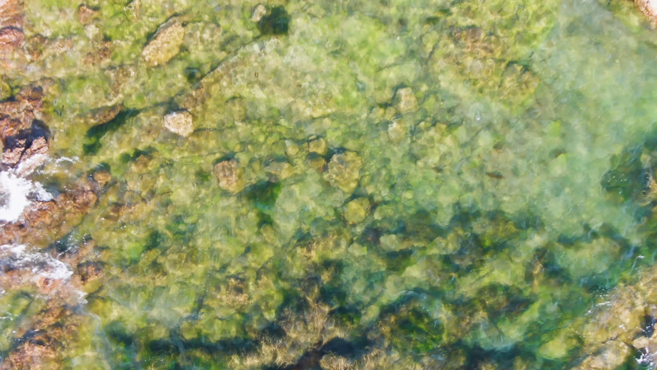 Rocky shoreline edge with white foam beside clear green water.