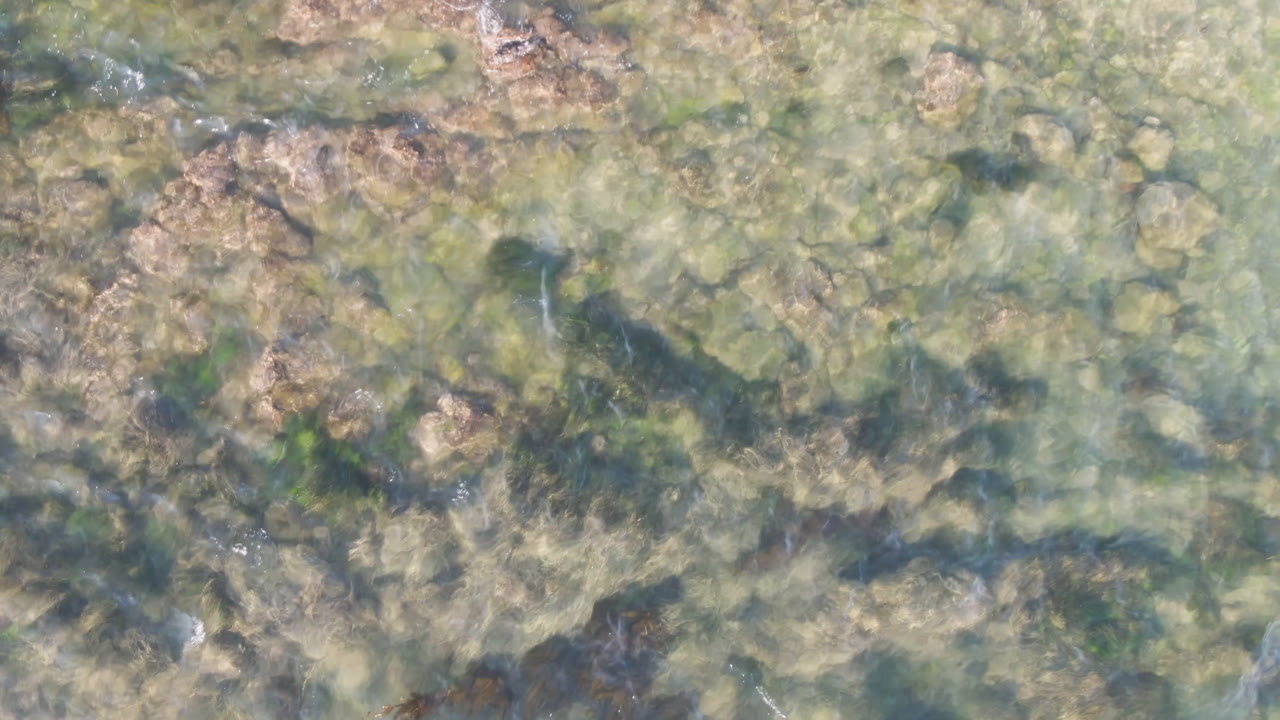 Overhead view of clear shallow water in Bahia Ascuncion, Baja California Sur, with pale submerged rocks, darker seaweed patches, and no visible people.