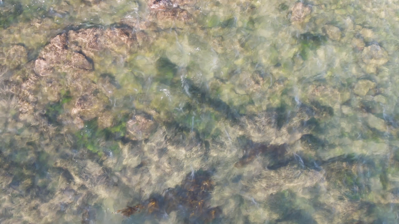 Aerial frame over Bahia Ascuncion water with a larger tan rock patch near the upper center, scattered seaweed below, and no visible people.