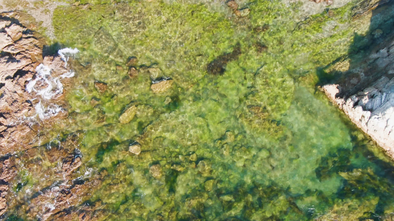 Overhead frame from Bahia Ascuncion, Baja California Sur shows clear green water, tan rock shelves, and pale sand at the shoreline with no visible people.