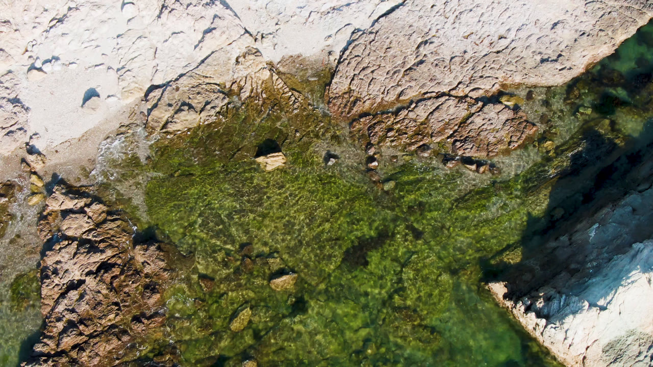 Overhead aerial view in Bahia Ascuncion, Baja California Sur, Mexico, showing pale rock, a green algae patch, clear shallow water, scattered stones, and no visible people.
